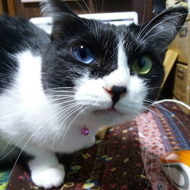 Fcf47122 6f8b 4332 a066 4fec3330cc77