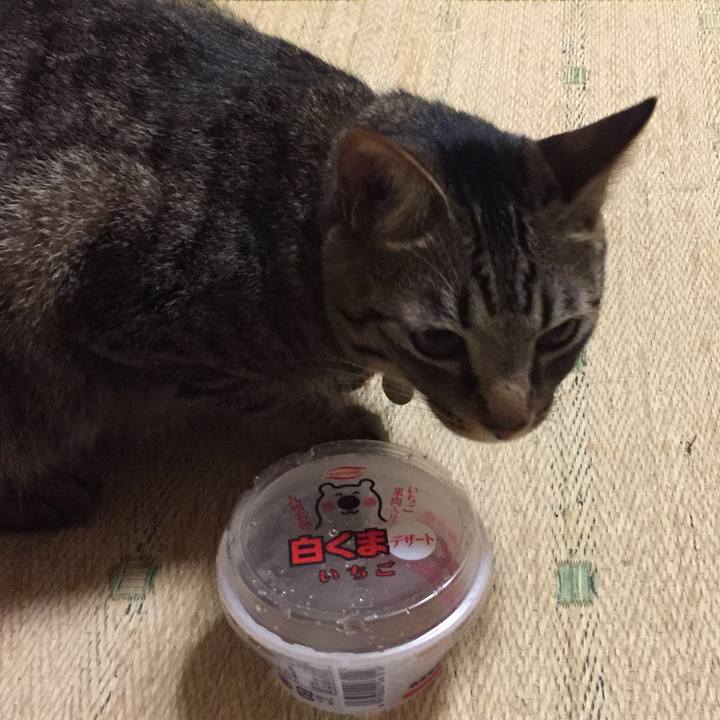 Fcf48a67 0c69 49b3 8f9d f0a7828f56e4