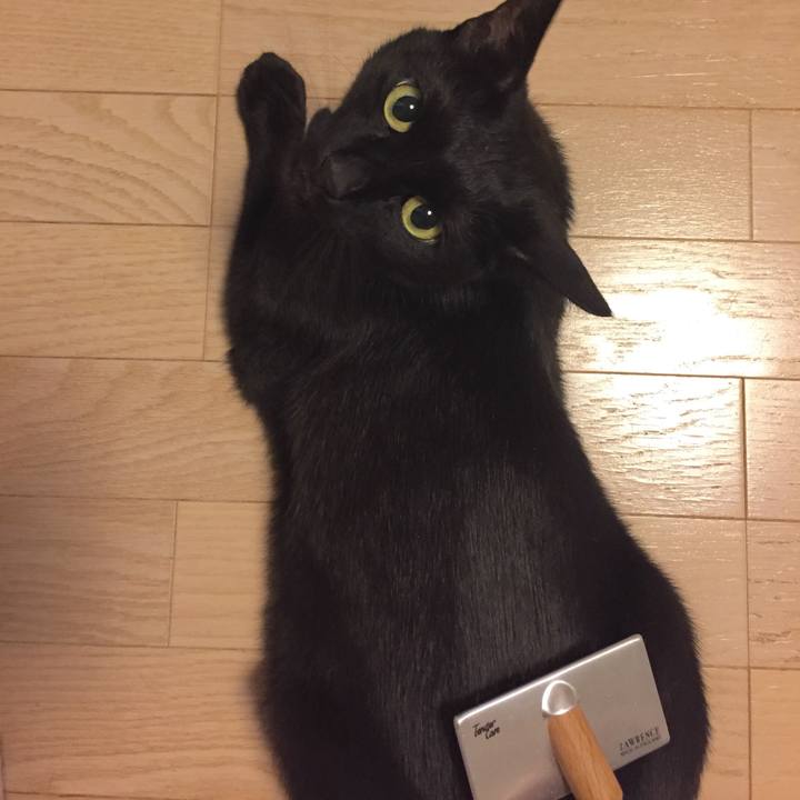 Fcf4991c b170 4a33 98a3 02b43e5c7d35