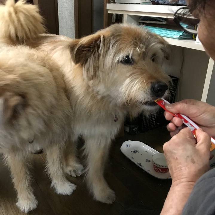 Fcf4a81d 9620 493e be7d a2740ef5324b