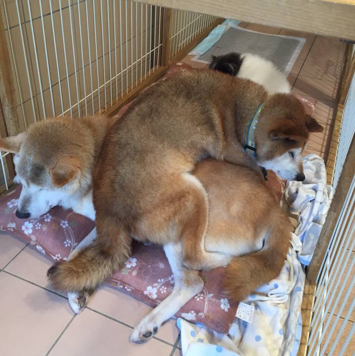 Fcf52eee 0e2d 45f1 bdd9 6ee591c87b94