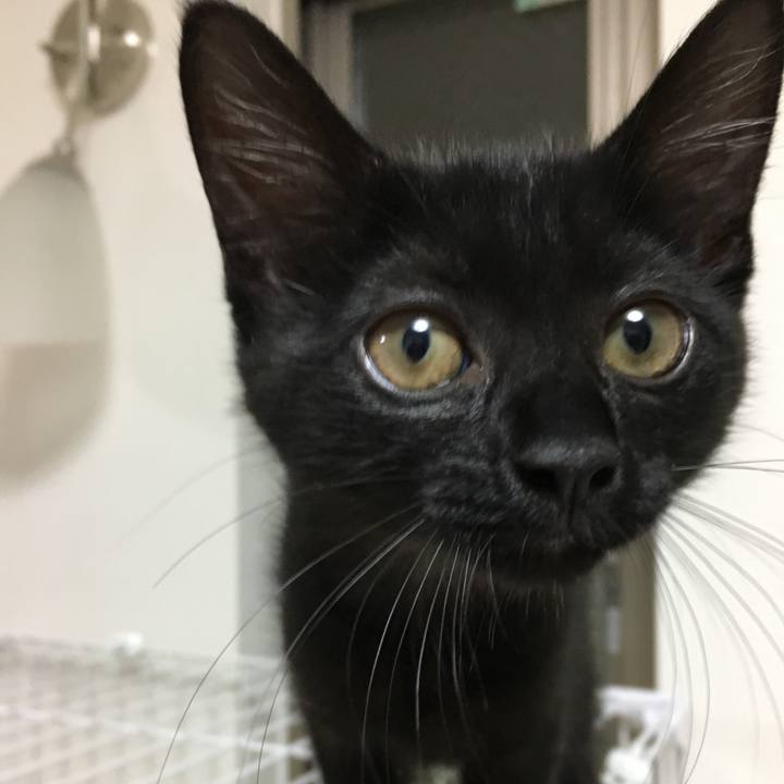 Fcf53ec5 ea82 40cb 986d 43f19821fbae