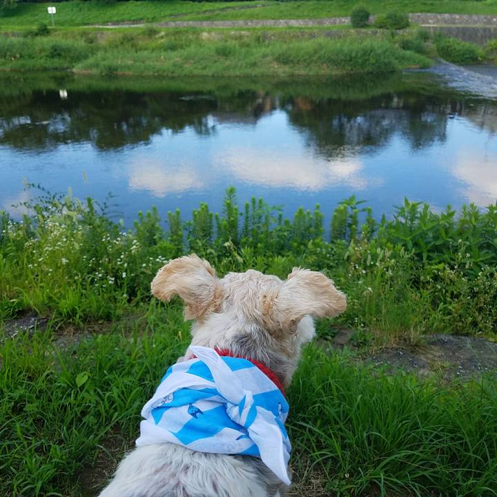 Fcf688f6 5e34 4e17 bb4f acd59115af29