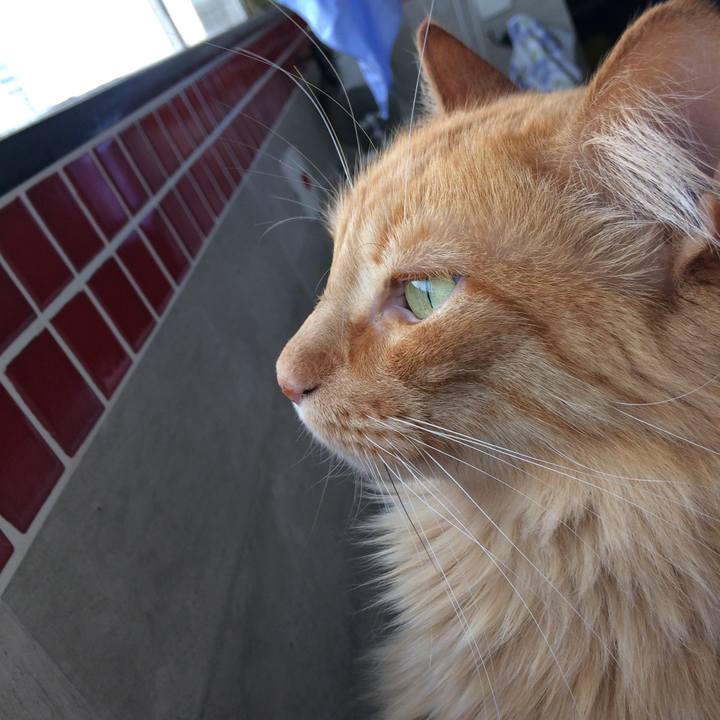 Fcf6930a db8e 46c5 a5b7 139594d43c1a