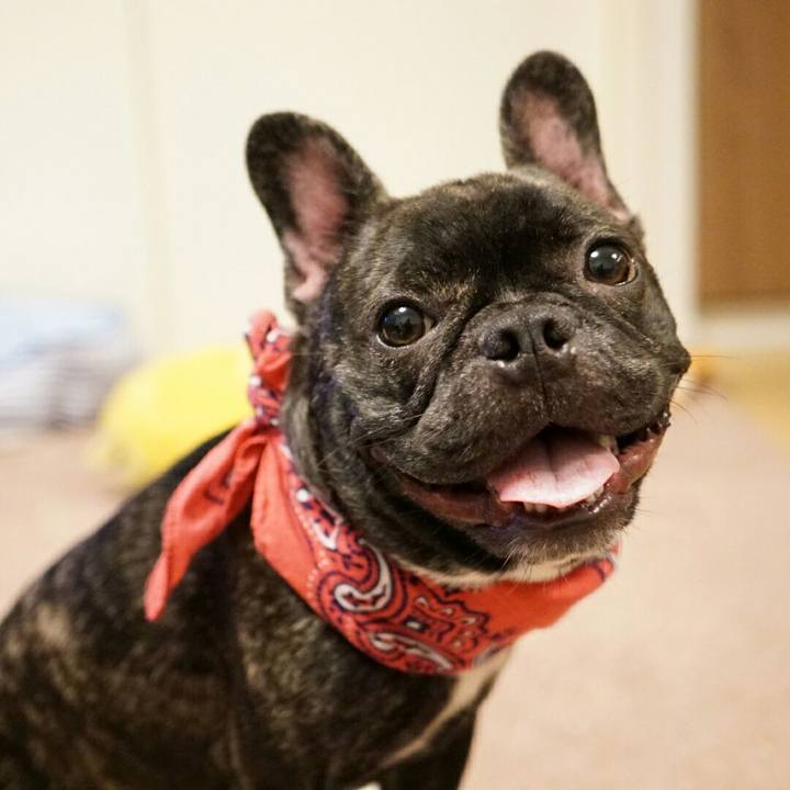 Fcf7a9c5 1f11 4cc1 81a2 1b370636ae4a