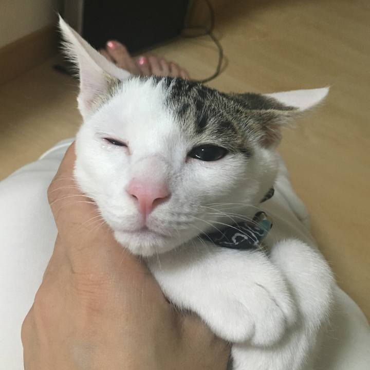 Fcf82a26 075c 48fd a14c 6c83a9fd84d4