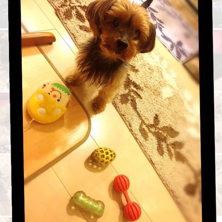 Fcf8b479 100f 4045 bff6 5ae40a7beb2b