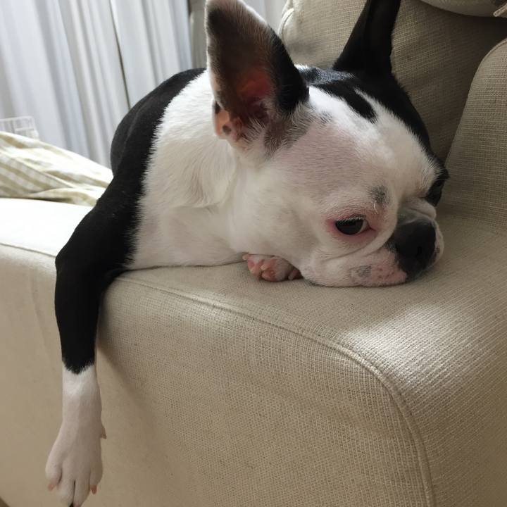 Fcf8c593 788f 422f 836c 920a4879daa6