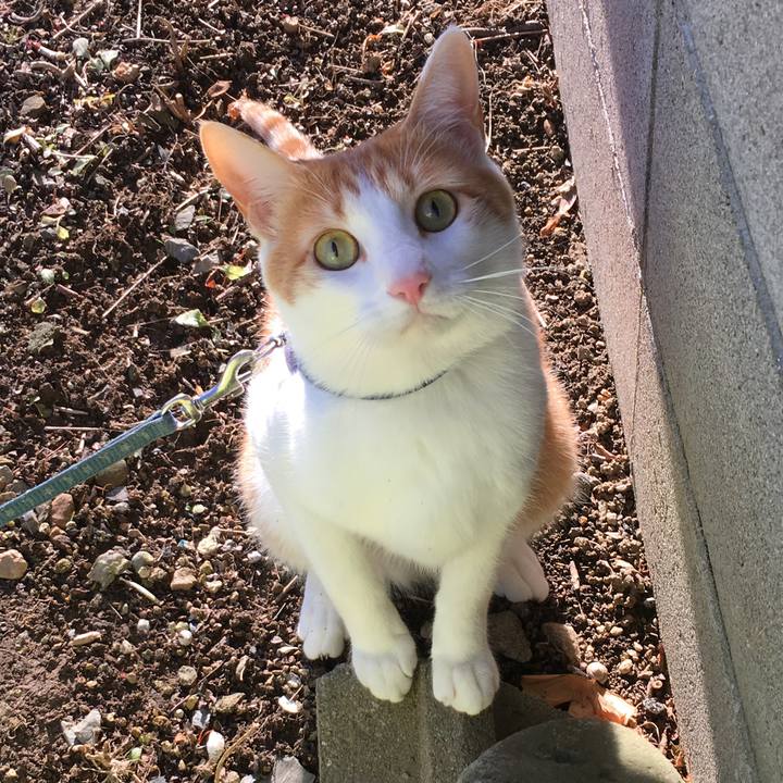 Fcf8ff6a 02e8 4286 bb5d d09b22230fc3