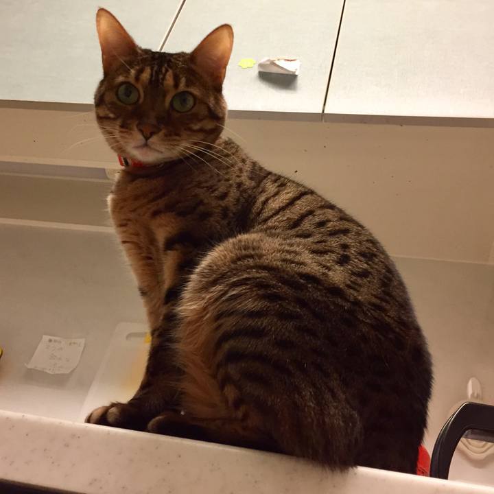 Fcf904b9 af3f 47a5 a96e 022374245213