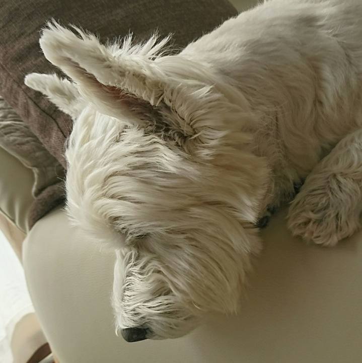 Fcf9a62f 47cc 4ddb 9916 c16f6ad48b1c