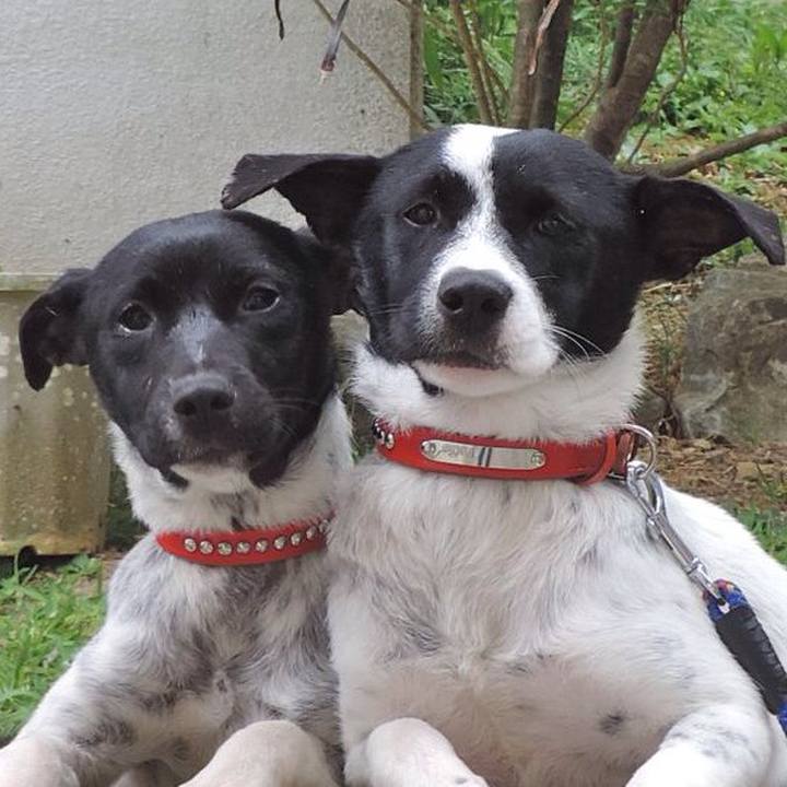 Fcfacbc4 7a74 44f9 b9e8 9e6d5b750edb