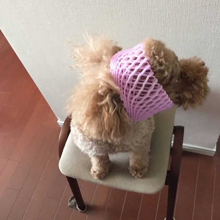 Fcfacc96 e98a 40ea ab53 e4533f771b9b