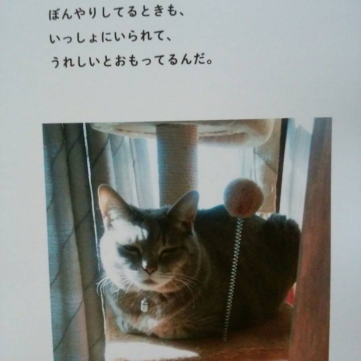 Fcfb5e74 8ef7 4492 8930 415253ba0fea