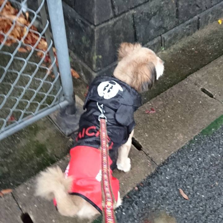 Fcfbc057 39e6 4608 a6b8 d7bfc36047bc