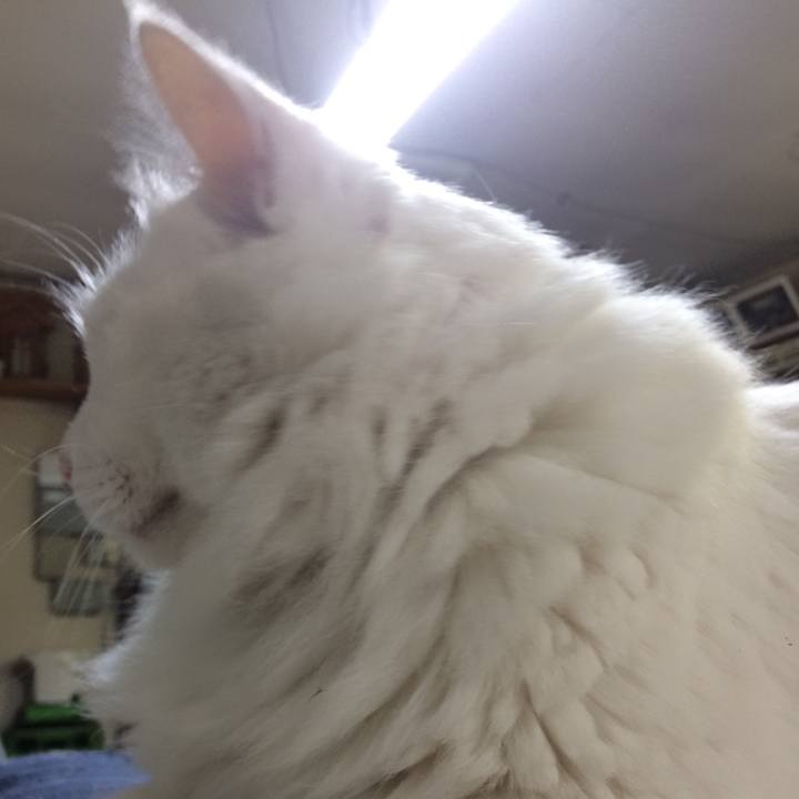 Fcfc6bc5 caba 426c 9c0b 5ffdc258e7a5