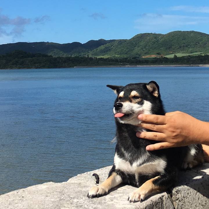 Fcfc8929 fbfb 4f19 99a1 c9cd9847c8e1