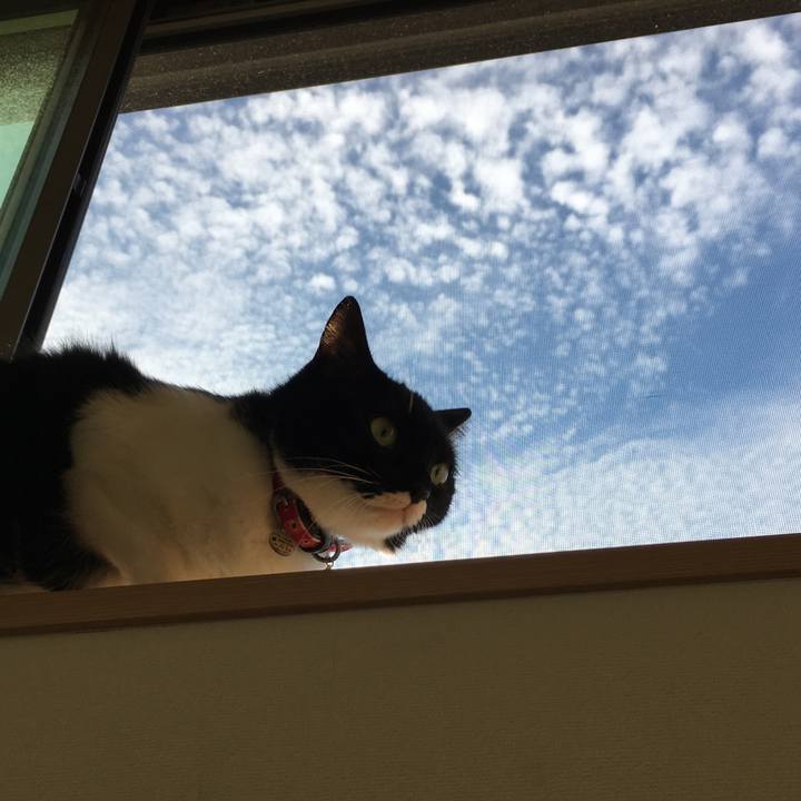 Fcfcde52 ae15 4554 aec8 35f4c89ccc17