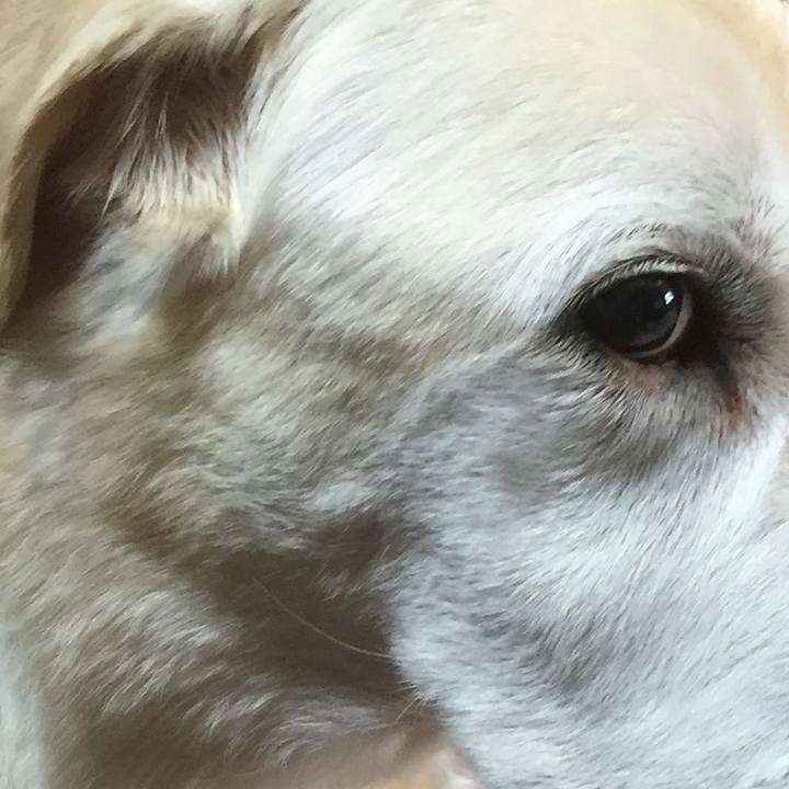 Fcfd1156 1180 4b71 aed5 9ef6090a6482