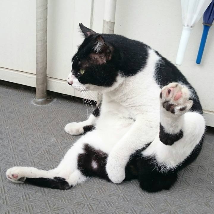 Fcfd186b 7d3f 441a ba7d 76d3451a3950