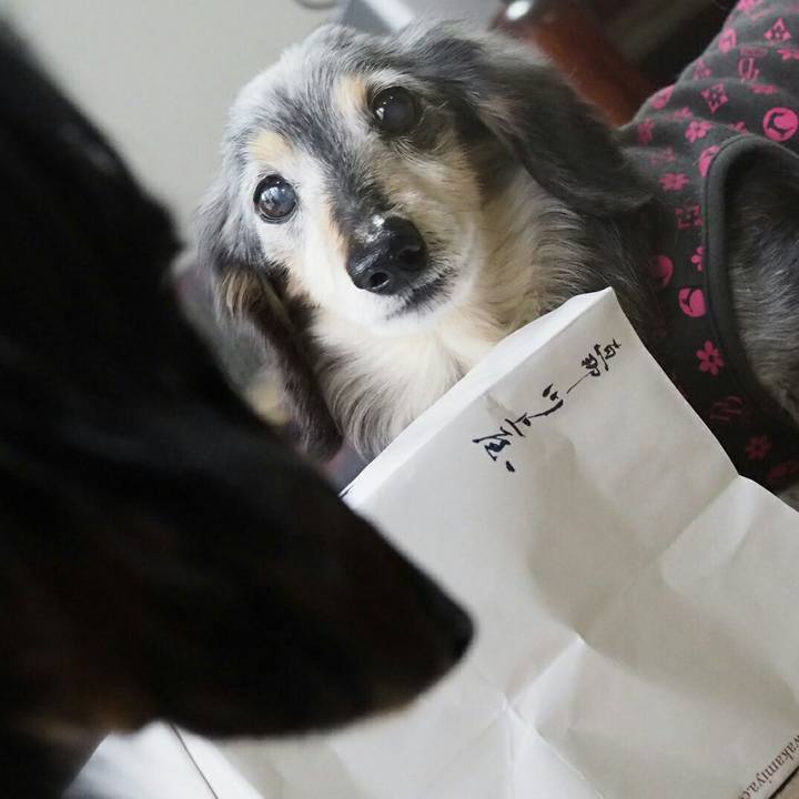 Fcfd2f6c 251e 4a23 83f0 3301386a8ca7