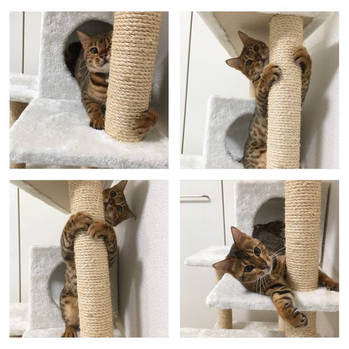 Fcfda69d 1e31 49a1 a853 d17f55951ee2