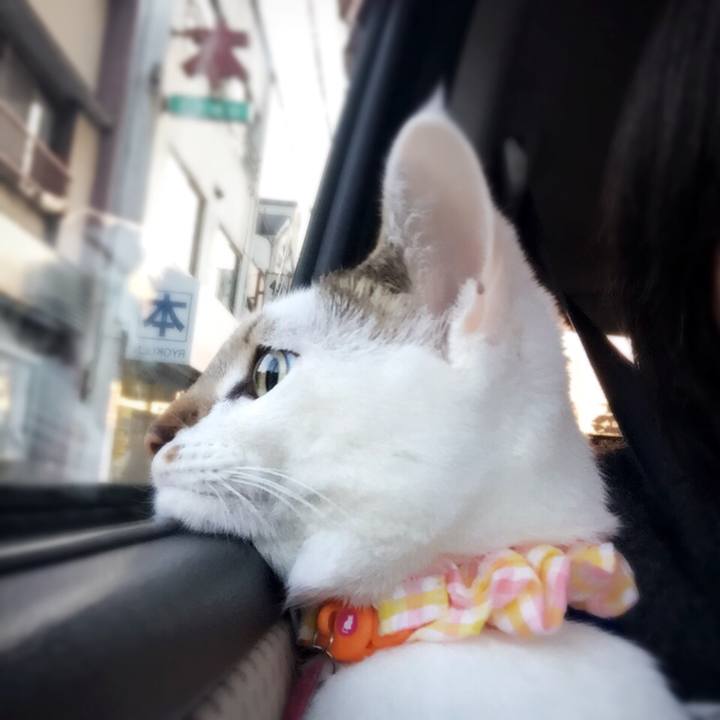 Fcfdb198 3c5d 4913 9c3a d62ed17d9eb3