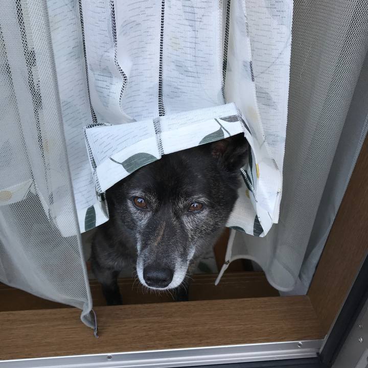 Fcffde19 ac8a 4c07 80c6 4be683c693f7