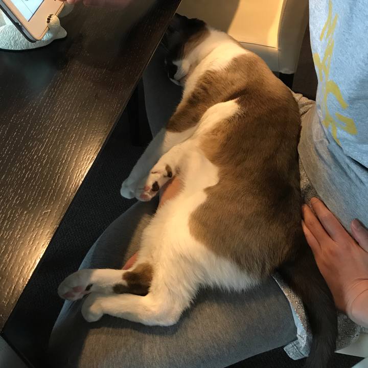 Fd006e50 59db 4182 8610 ffc326f90358