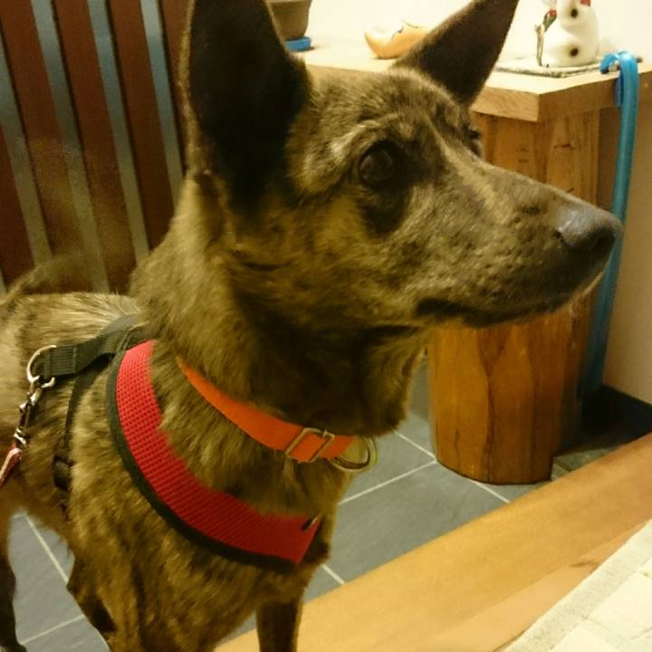 Fd00740e 7ae5 4996 98bf 97c9e084472f