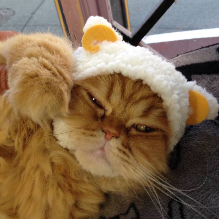 Fd008a67 25ff 4765 9176 261a4f8d7880