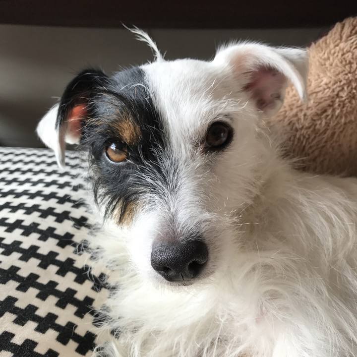 Fd01bf17 4872 4c0f 9e8c de6f505e004e