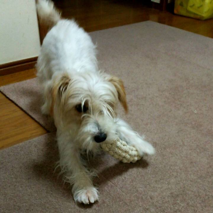 Fd0247c1 22b8 4a1c bb18 dfbdd5d42620