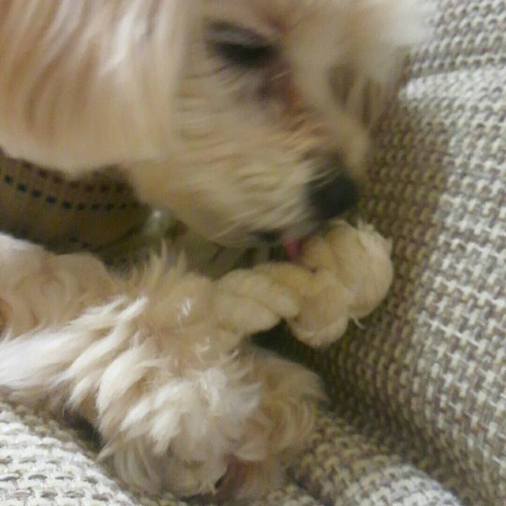 Fd030e2d de10 49da 878b e4777cc98a60