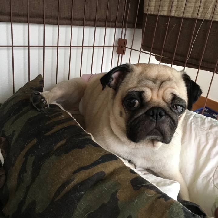 Fd0319b4 ba5c 4f73 b884 6c43020c4bdb