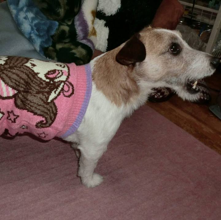 Fd04acc7 0c15 4902 9191 447cae59c60e