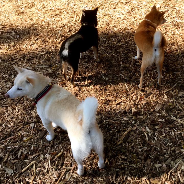 Fd051631 971a 4a15 9e5d 5bce2c02ec88