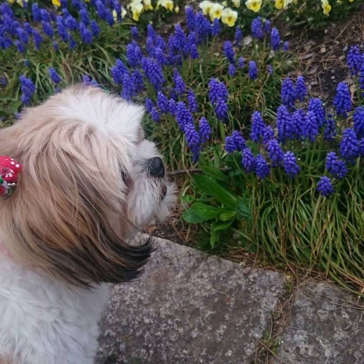 Fd054a51 2e69 4ab7 91ac 78df117e06a7