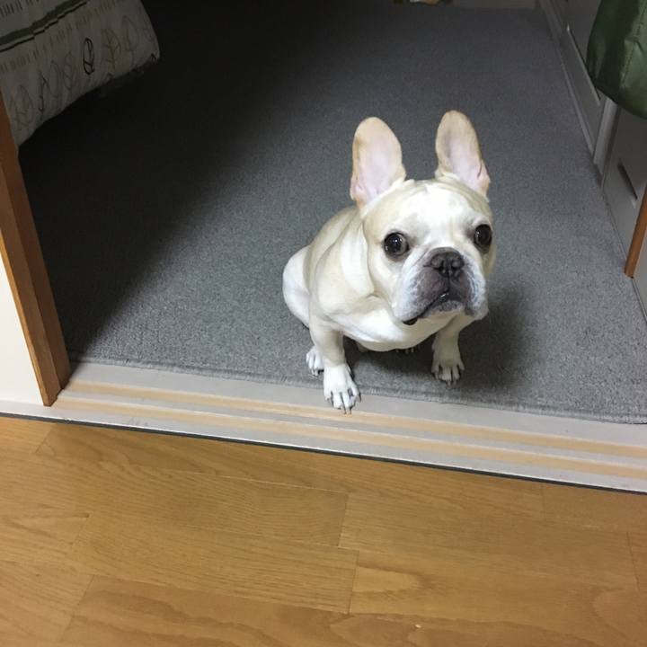 Fd05650d e70a 42a7 aa8b 46885f417e25