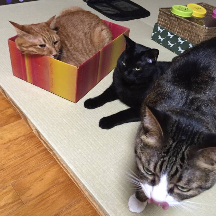 Fd0585f5 2805 42df aa6b 4034e7e483e2