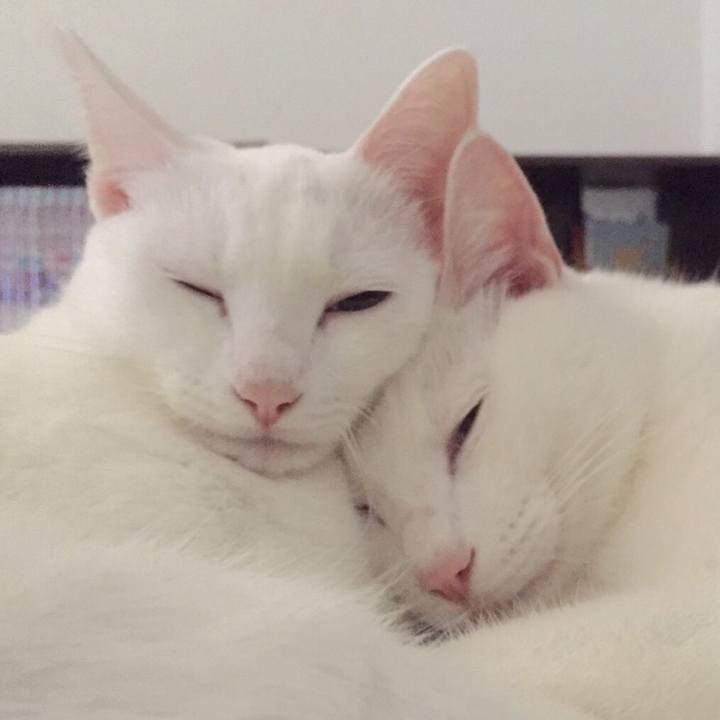 Fd05ce17 f9f5 46e3 a01a 7e16d729e28d