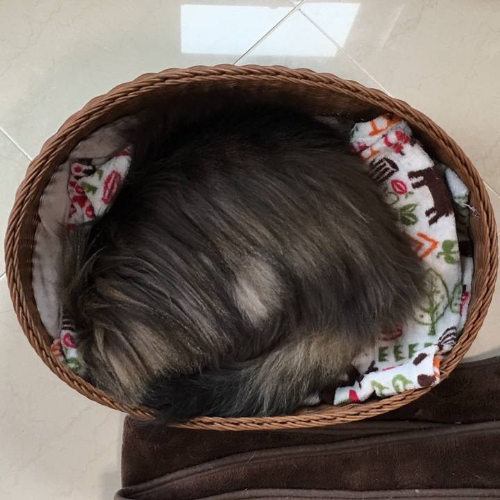 Fd060822 46d5 4f03 b1fc 2b4231ccf733