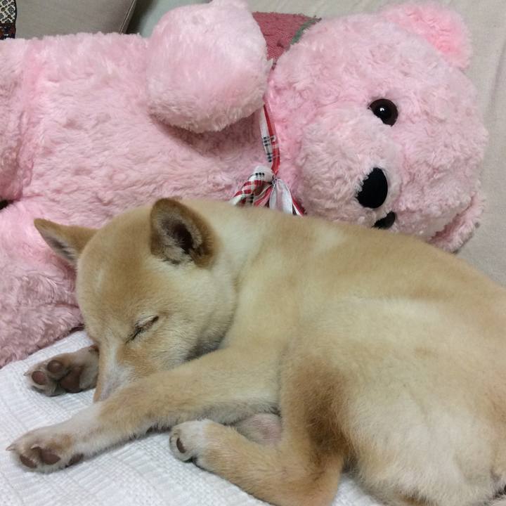 Fd077be5 9bb6 4b6e a00e ff924944b1e6