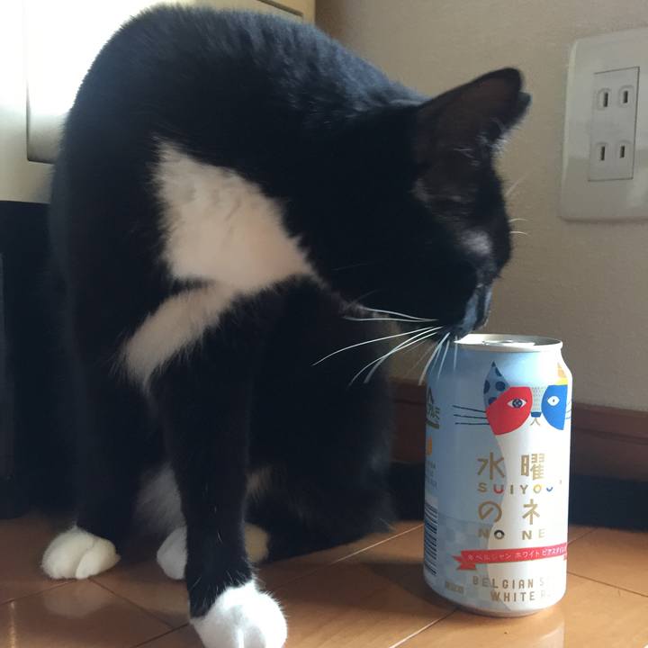 Fd079cc1 e0f8 47fc 9312 27410bb9db9c