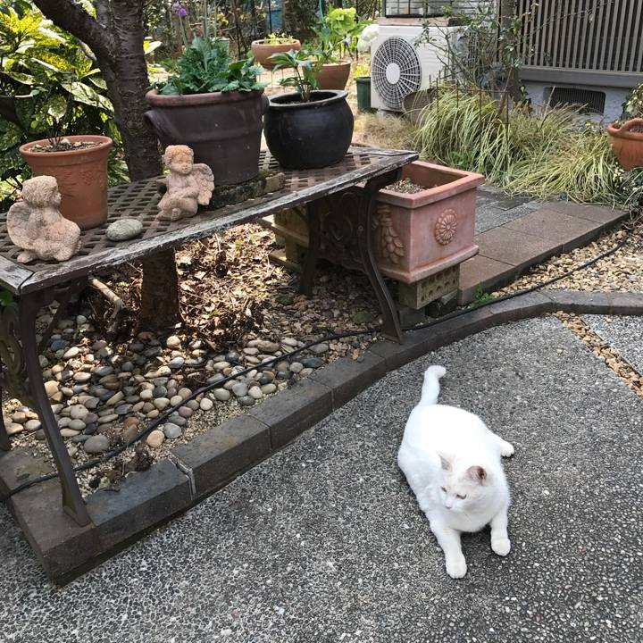 Fd07d3d7 be07 41b7 9bc5 81beaa4bca99