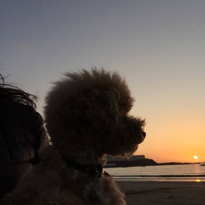 Fd07e7e3 cfd2 4592 ac61 d3715e904d4f