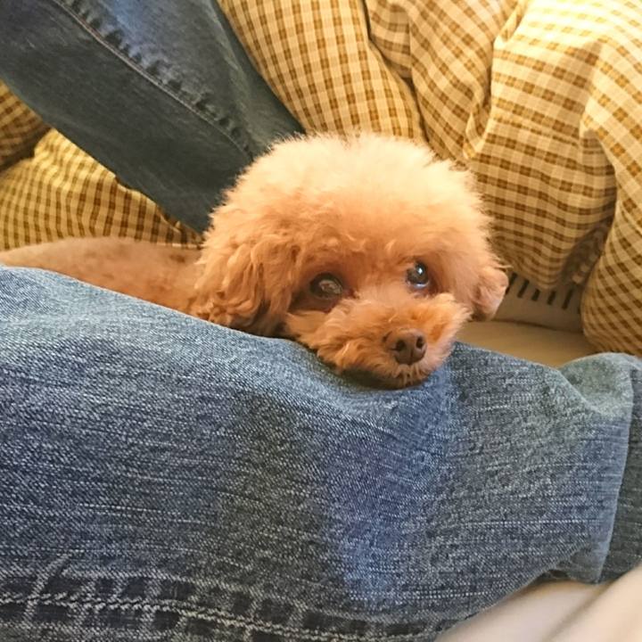 Fd0823e2 5bab 4801 aadd 05a3a05c54d2