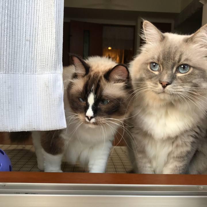 Fd0893b7 b250 4c24 9ebd 29226cbb50f7