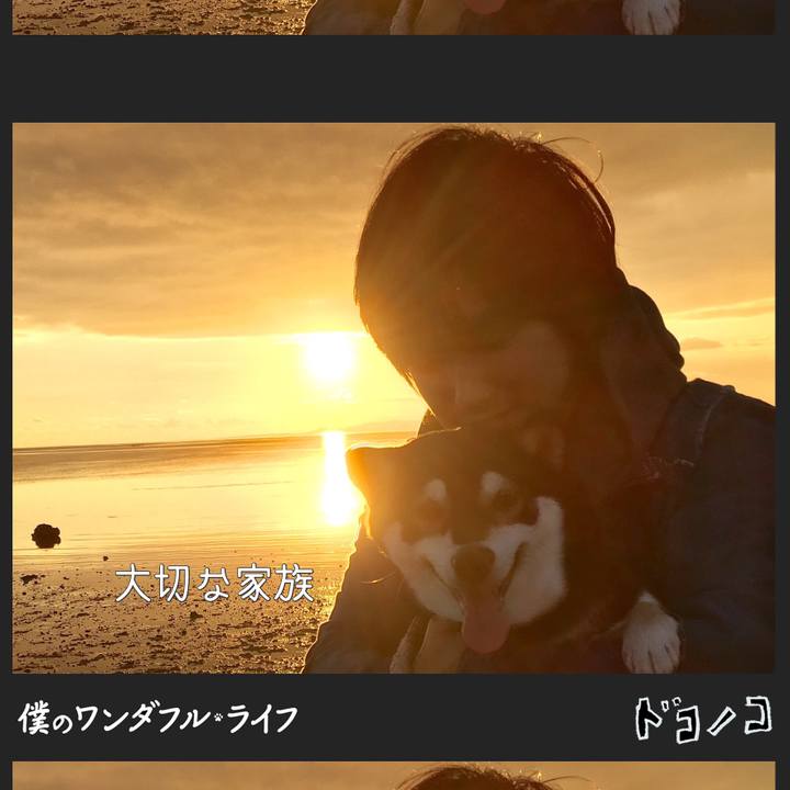 Fd09ebfc e564 4732 8d3d 7facc34bc879