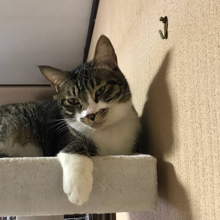 Fd0b919e 416f 4be6 ba67 8619ea7009ab